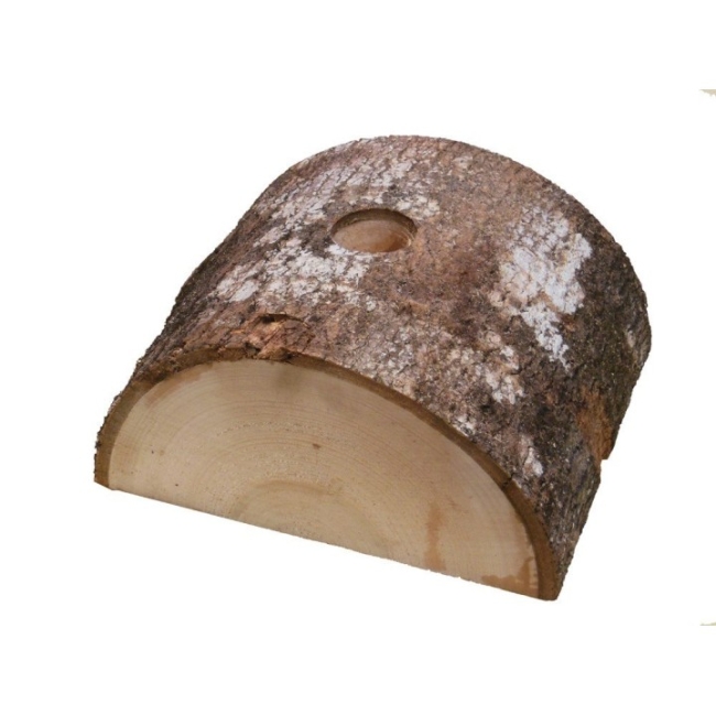 Pied ( buche )
